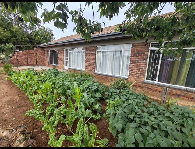 FARM FOR SALE IN BUYSCELIA